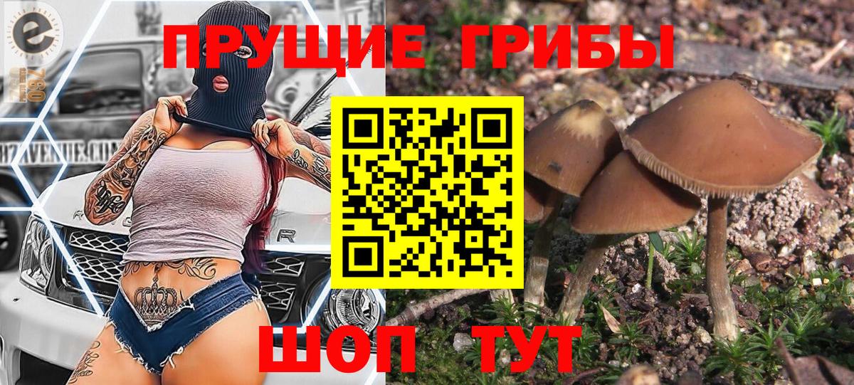 Кандалакша  купить наркотик  Вход с VPN  Псилоцибиновые грибы Psilocybe 