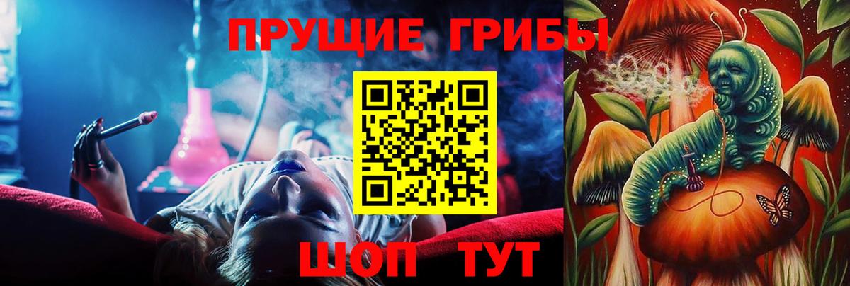Галлюциногенные грибы прущие грибы Кандалакша
